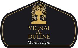 Morus Nigra