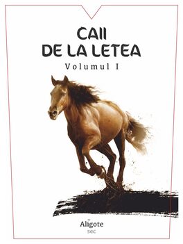 Volumul I