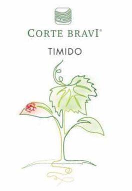 Timido