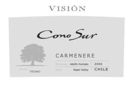 Vision