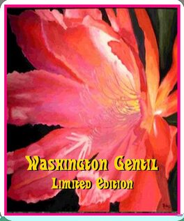 Washington Gentil