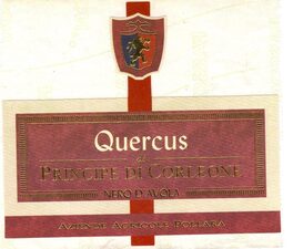 Quercus