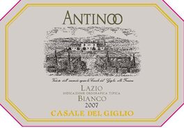 Antinoo