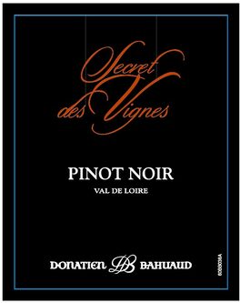 Secret Des Vignes
