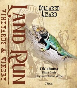 Collard Lizard