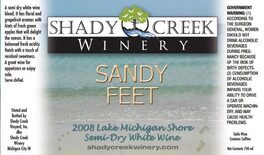 Sandy Feet