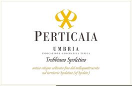 Spoletino