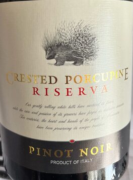 Crested Porcupine
