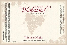 Winter's Night