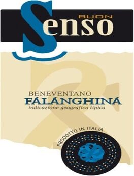 Buon Senso