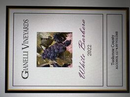 White Barbera