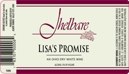 Lisa's Promise