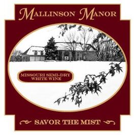 Savor the Mist