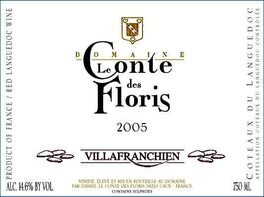 Villafranchien