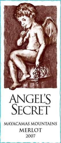 Angel's Secret