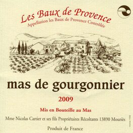 mas de gourgonnier