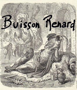Buisson Renard