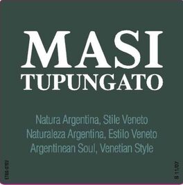 Tupungato