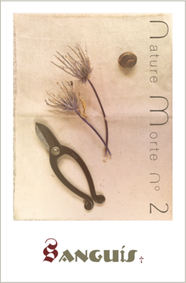 Nature Morte No 2
