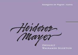 Heiderer Mayer