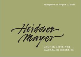 Heiderer Mayer