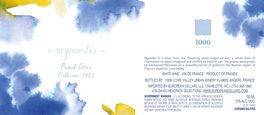 Myosotis