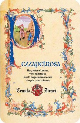 Pezzapetrosa