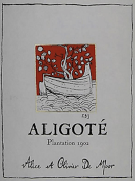 Plantation 1902