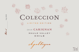 Coleccion