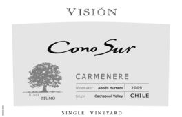 Vision