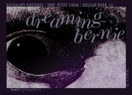Dreaming Bernie