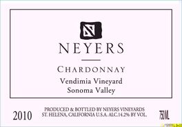 Vendimia Vineyard