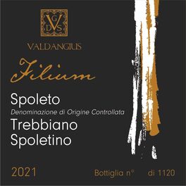 Filium