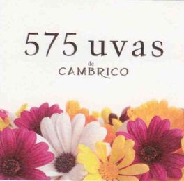 575 Uvas