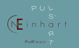 Puls'art