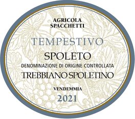 Tempestivo
