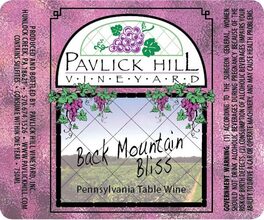 Back Mountain Bliss