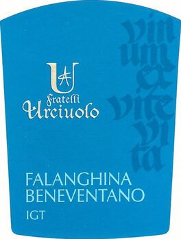 Urciuolo
