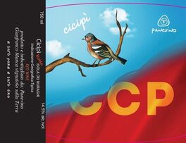 Cicipi