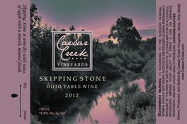 Skipping Stone