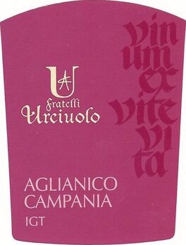 Urciuolo