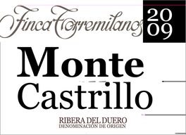 Monte Castrillo