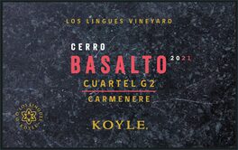 Cerro Basalto