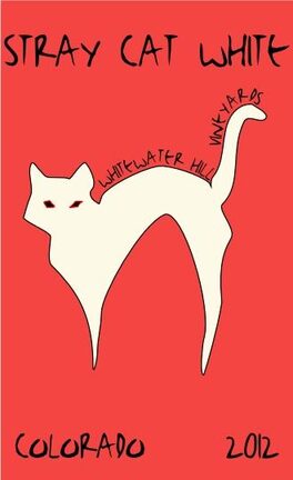 Stray Cat White