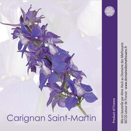 Carignan Saint Martin