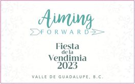 Aiming Forward
