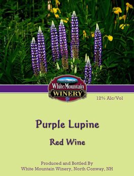 Purple Lupine
