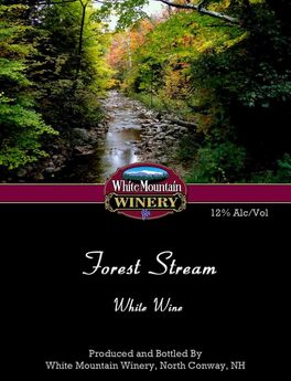 Forest Stream