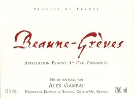 Alex Gambal