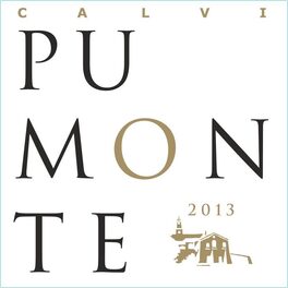 Pumonte
